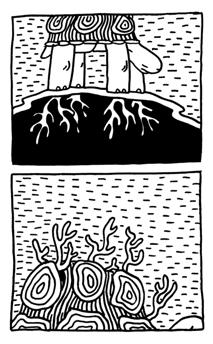The Turtle Tree - Page 5