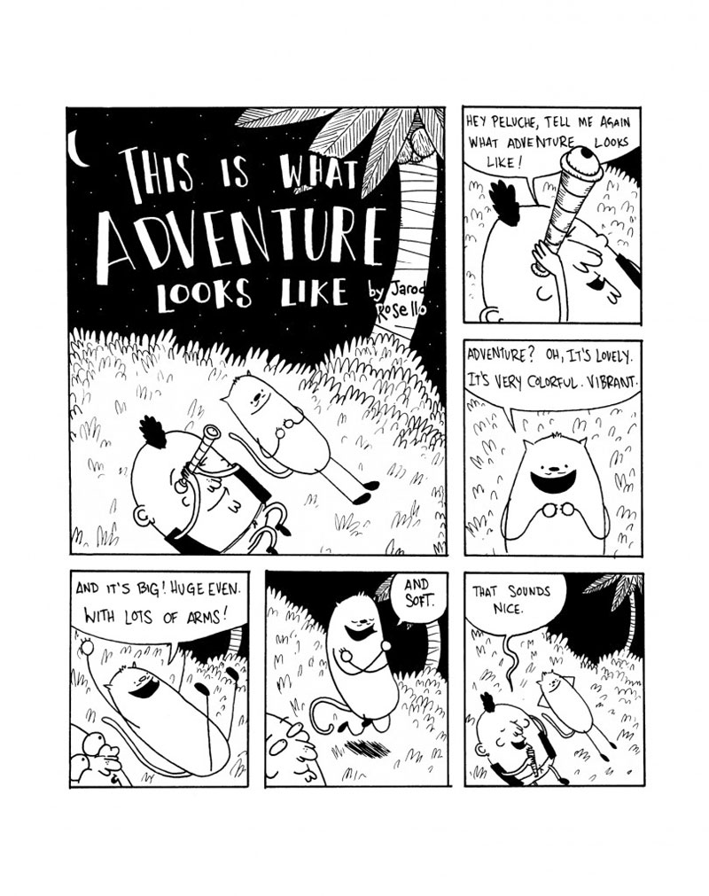 This Is What Adventure Looks Like - Page 1